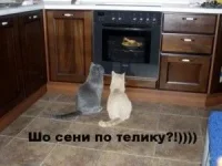 x_fe5c5413-300x225.webp