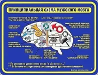 35730840_1227513599_1_1.webp