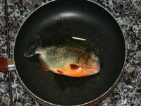 x_b40c8234.webp