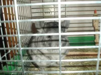PICT0310.webp