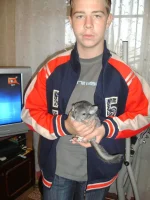 PICT0309.webp