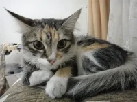 DSC00972_2.webp
