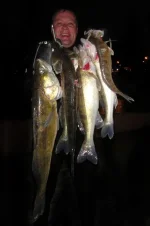 DSC00991_2.webp DSC00991_2.webp