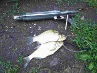 S4010568.webp