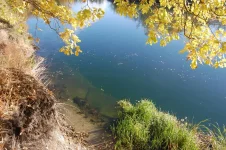Тамбов 010.webp