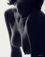 1286390041_6642755-md.webp