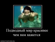 362726_podvodnyij-mir-krasivee-chem-vam-kazhetsya-.webp