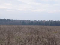 PA250160.webp