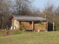 PA250166.webp