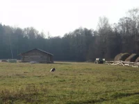 PA250167.webp