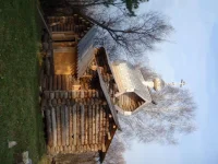 PA250172.webp
