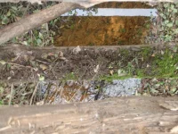 PA250181.webp
