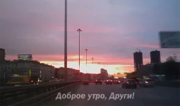 IMAGE_210.webp
