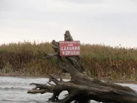 Изображение 155.webp