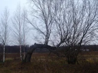 PB020251.webp
