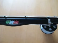 geko_2.webp
