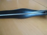 geko_5.webp