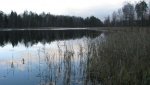 IMG_9561.jpg