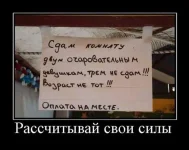 21.webp