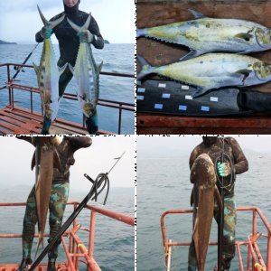 Рыбалка и ПО в Таиланде