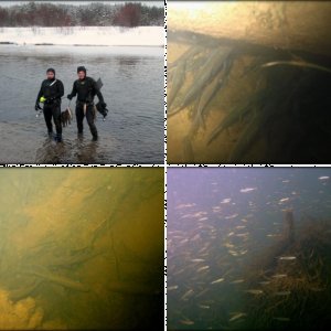 Подводно-надводное фото