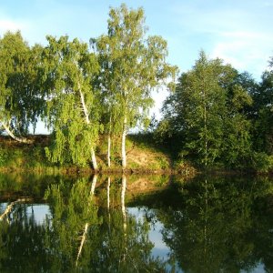 Река Юхоть , Ярославской обл.ЛЕТО 2006 01 080