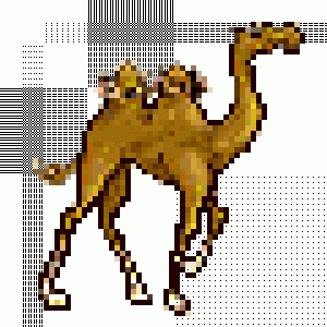 camelus anime