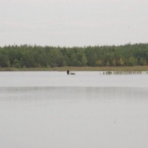DSC 0126о