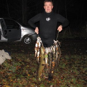 Максимальный улов в Финском заливе (26 щук от 1,5 до 8 кг)