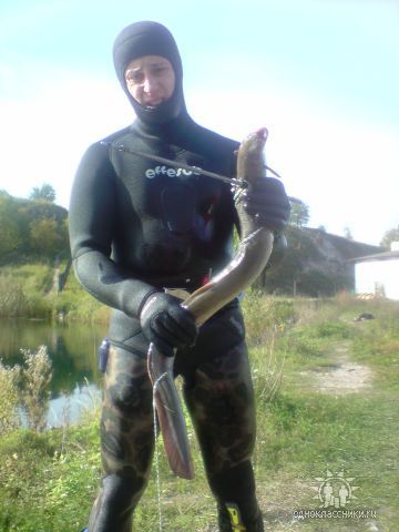 !2008 ОТКУДА там они пресноводные