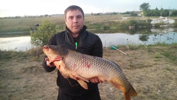 20150717 215144
Карп на 11,9 с секретного водоёма Урала июль 2015