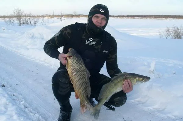 27.02.2011.
прозрак 0,5 метра
глухой коряжник, глубина 3 метра.
судак 3,2 кг
сазанчик 2,8 кг.