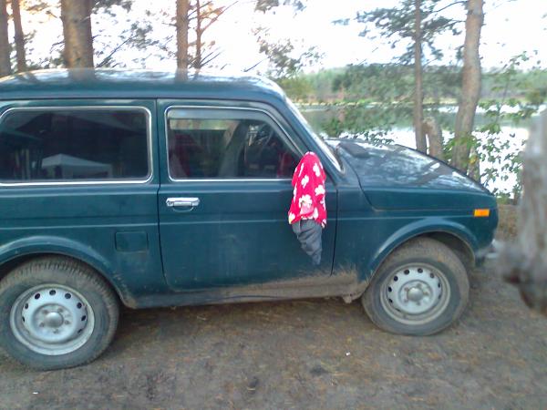 31 классика слета)труселя есть.. Седрика нет)