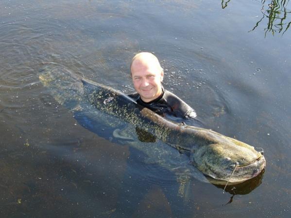 52кг сома