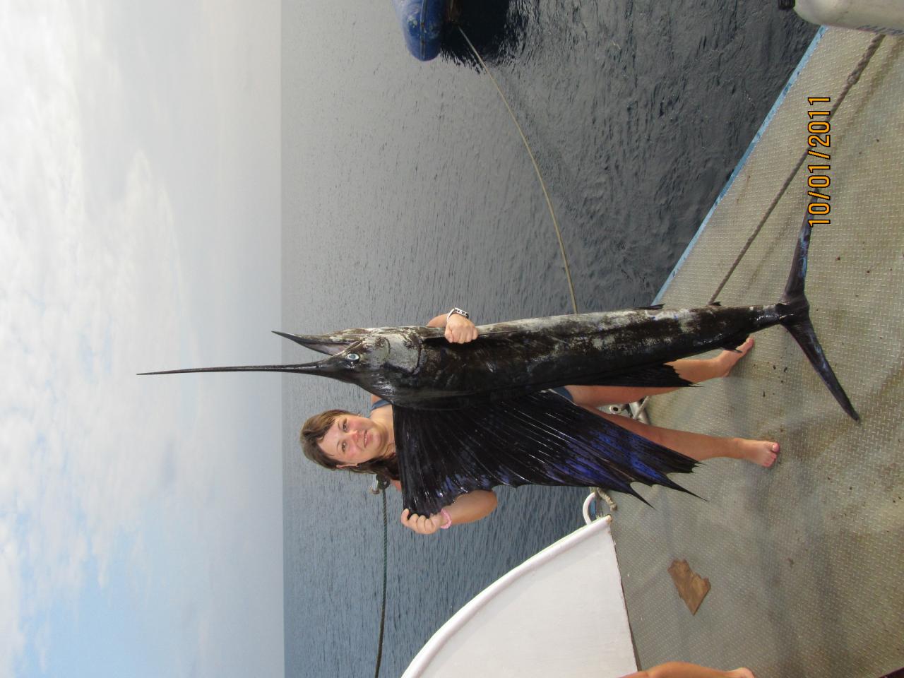 А это марлин или рыба парусник, вытащен нашей корабельной командой, пока мы на дайве были. Красивый и вкусный :)))