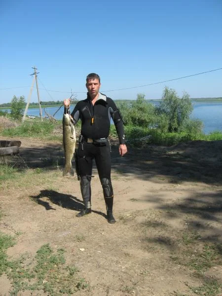 Белый амур