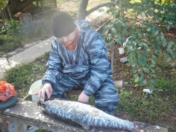 Чистка трофеев