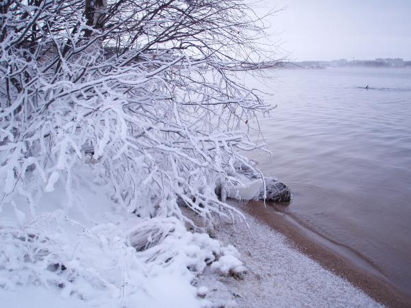 десногорск