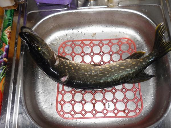 добыча однако