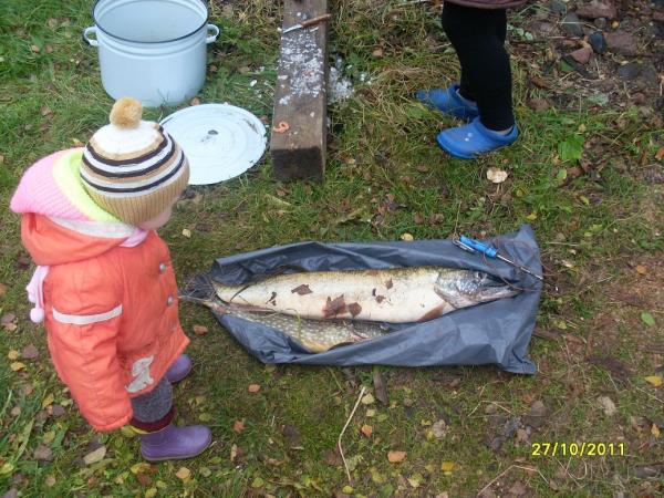 доча со щучкой