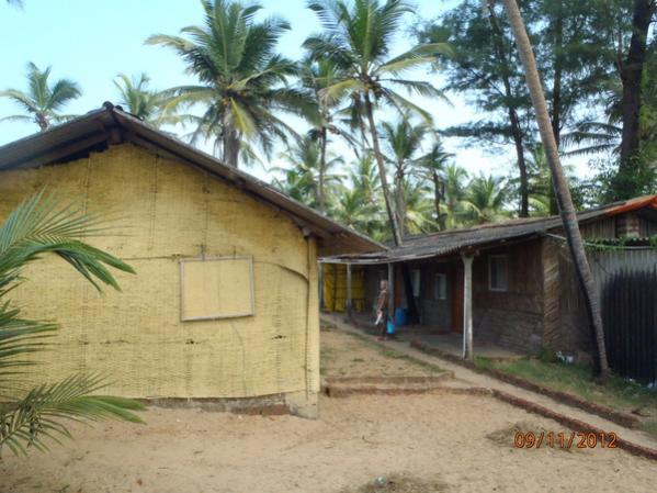 Долфин бич супер бунгало