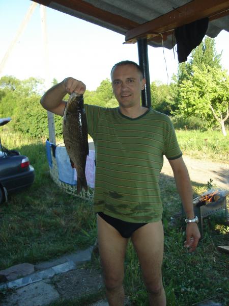 долгие споры о родословной...