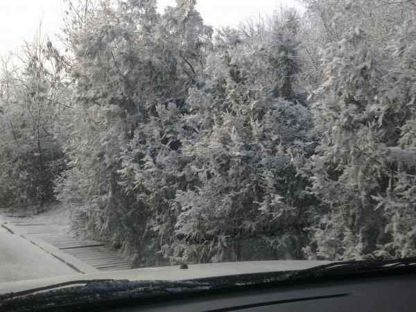 Дорога на Ланжерон! Как в сказке! Красота!