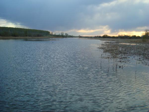 DSC02538