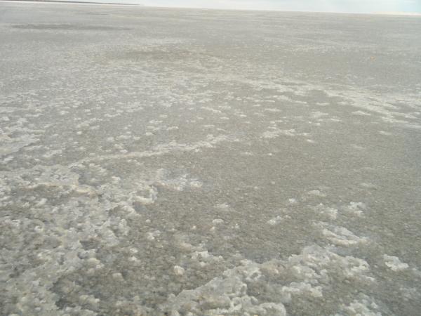 DSCF1083