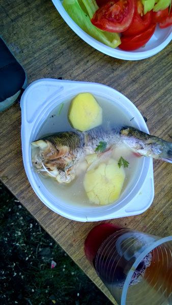 Фестиваль на Владимирщине 5-7 сентября 2014