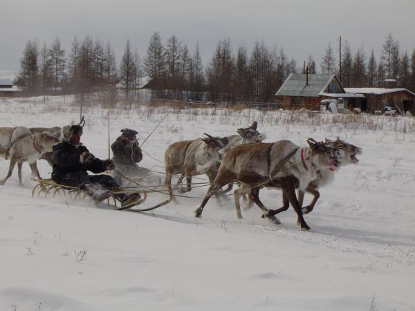 Гонки в Омолоне