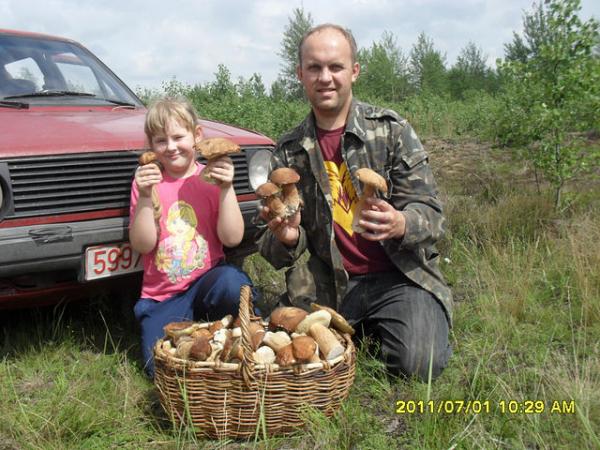 грибы я то же люблю собирать особенно такие