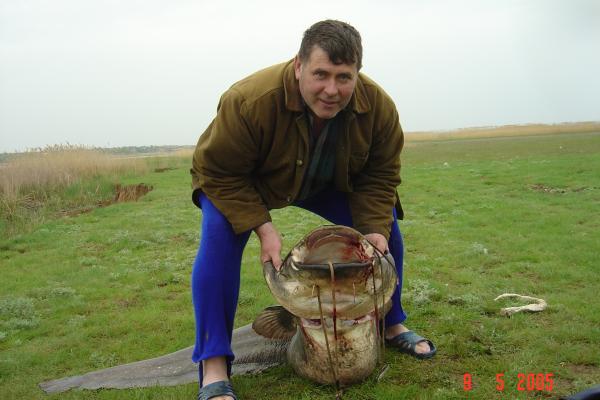 Их почти не осталось!