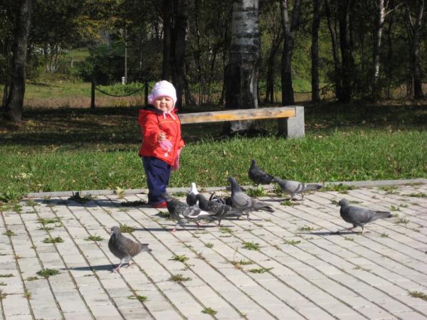 IMG 0278